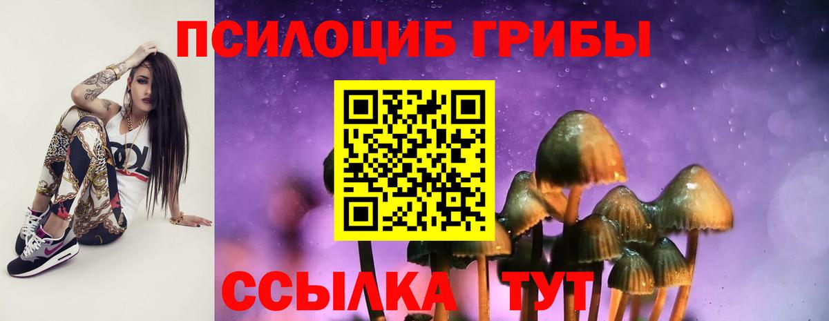 Псилоцибиновые грибы мухоморы Кунгур